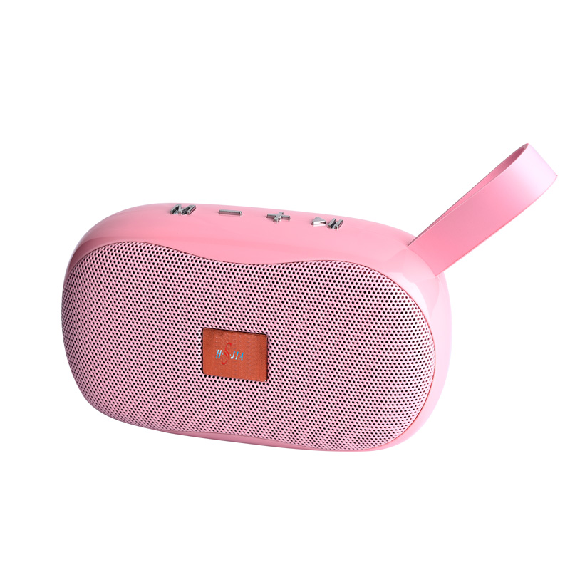 HS-2027 Cheap models mini portable speaker